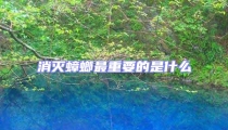 消滅蟑螂最重要的是什么