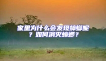 家里為什么會發現蟑螂呢?如何消滅蟑螂?
