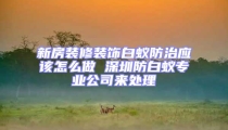 新房裝修裝飾白蟻防治應(yīng)該怎么做 深圳防白蟻專業(yè)公司來(lái)處理