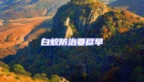白蟻防治要盡早