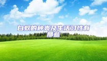 白蟻的種類及生活習(xí)性有那些