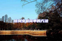 除臭蟲最簡單的方法