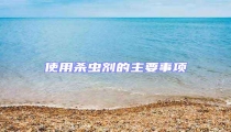 使用殺蟲劑的主要事項