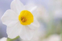 除蟲公司在夏季如何為工廠做好蟲害防控？