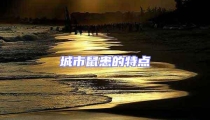 城市鼠患的特點(diǎn)