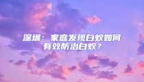 深圳:家庭發(fā)現(xiàn)白蟻如何有效防治白蟻?