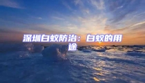 深圳白蟻防治:白蟻的用途