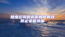 除蟲公司告訴你如何有效防止老鼠進屋