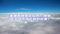 家里有臭蟲(chóng)怎么辦?臭蟲(chóng)怎么消滅才會(huì)有好效果?