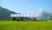 白蟻誘殺箱要多少錢?