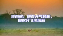 滅白蟻:隨著天氣轉(zhuǎn)暖,白蟻分飛漸活躍