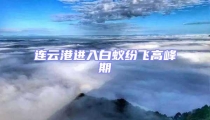 連云港進入白蟻紛飛高峰期