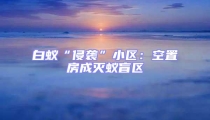 白蟻“侵襲”小區:空置房成滅蟻盲區