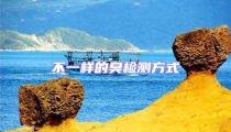 不一樣的臭檢測方式