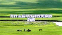 有什么藥可以持效滅蟑螂的嗎