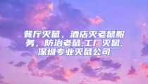 餐廳滅鼠,酒店滅老鼠服務,防治老鼠,工廠滅鼠,深圳專業滅鼠公司