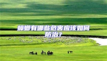 蟑螂有哪些危害應該如何防治?