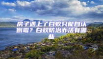 房子遇上了白蟻只能自認倒霉?白蟻防治辦法有哪些