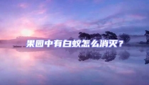 果園中有白蟻怎么消滅？