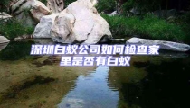 深圳白蟻公司如何檢查家里是否有白蟻