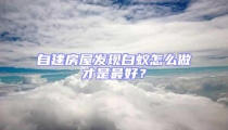 自建房屋發(fā)現白蟻怎么做才是最好?