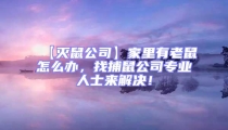 【滅鼠公司】家里有老鼠怎么辦，找捕鼠公司專業(yè)人士來(lái)解決！