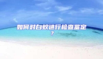 如何對白蟻進(jìn)行檢查鑒定?