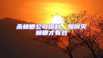 殺蟑螂公司爆料,如何滅蟑螂才有效