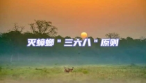 滅蟑螂"三六八"原則