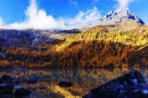 高品質深圳專業滅蟲公司為您服務