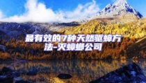 最有效的7種天然驅蟑方法-滅蟑螂公司