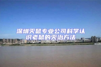 深圳滅鼠專業(yè)公司科學(xué)認(rèn)識老鼠的滅治方法