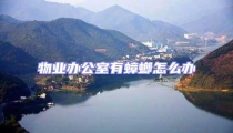 物業(yè)辦公室有蟑螂怎么辦