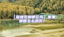 【深圳滅蟑螂公司】家里蟑螂怎么消滅?