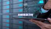 白蟻生活習(xí)性