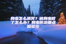 臭蟲怎么消滅？被臭蟲咬了怎么辦？臭蟲防治要點(diǎn)知多少