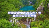 醫院發現蟲害怎么辦?專業殺蟲公司來幫忙