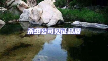 殺蟲公司見證品質