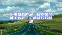 深圳白蟻防治:白蟻是個能工巧匠,它修筑白蟻隧道