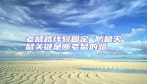 老鼠路線較固定 防鼠滅鼠關鍵是斷老鼠的路
