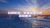 白蟻防治:蟻巢應用滅蟻藥粉根治
