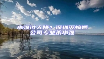 小強(qiáng)討人嫌?深圳滅蟑螂公司專業(yè)殺小強(qiáng)