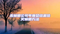 殺蟑螂公司年度總結最佳滅蟑螂方法