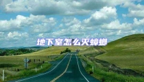 地下室怎么滅蟑螂