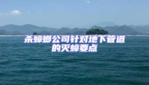殺蟑螂公司針對地下管道的滅蟑要點
