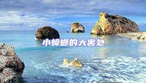 小蟑螂的大害處