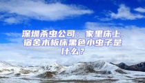 深圳殺蟲公司：家里床上.宿舍木板床黑色小蟲子是什么？