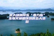 武大綠洲拜樂(lè)“毒力島”生物滅蟑螂餌劑的五大絕招