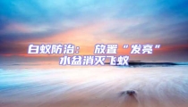 白蟻防治: 放置“發亮”水盆消滅飛蟻
