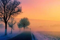 深圳白蟻防治：白蟻比較喜歡食松木、夾板等較為松軟材質(zhì)的家具